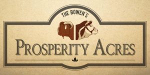 DCP Design - Prosperity Acres Branding