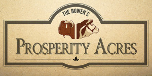 Prosperity Acres Logo